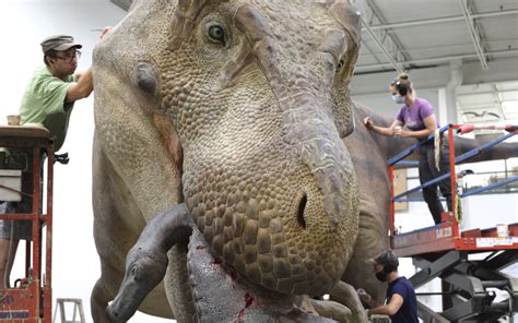 dinosaurs are actually fake
